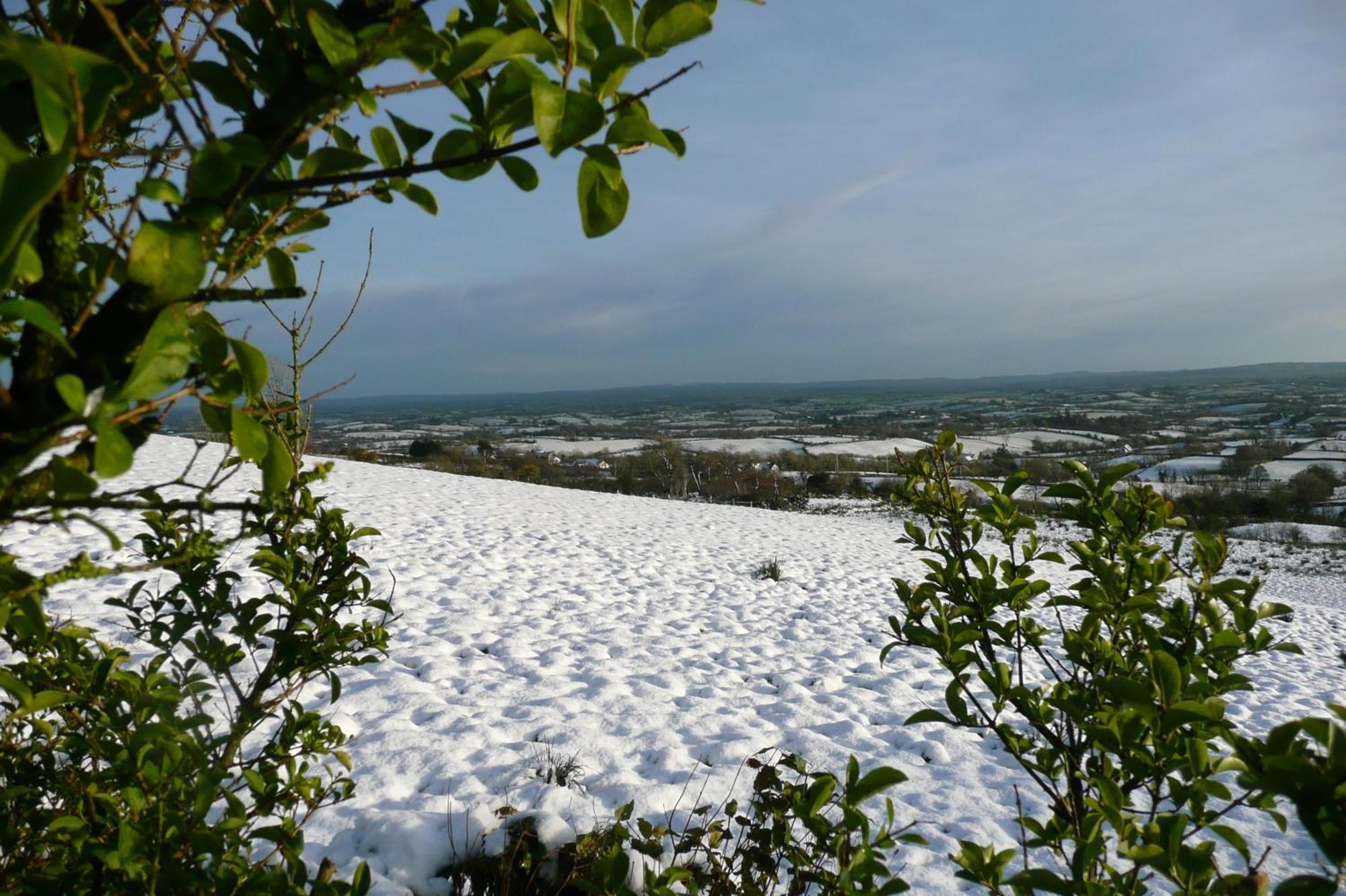 Goldenhill Guesthouse Omagh Bagian luar foto